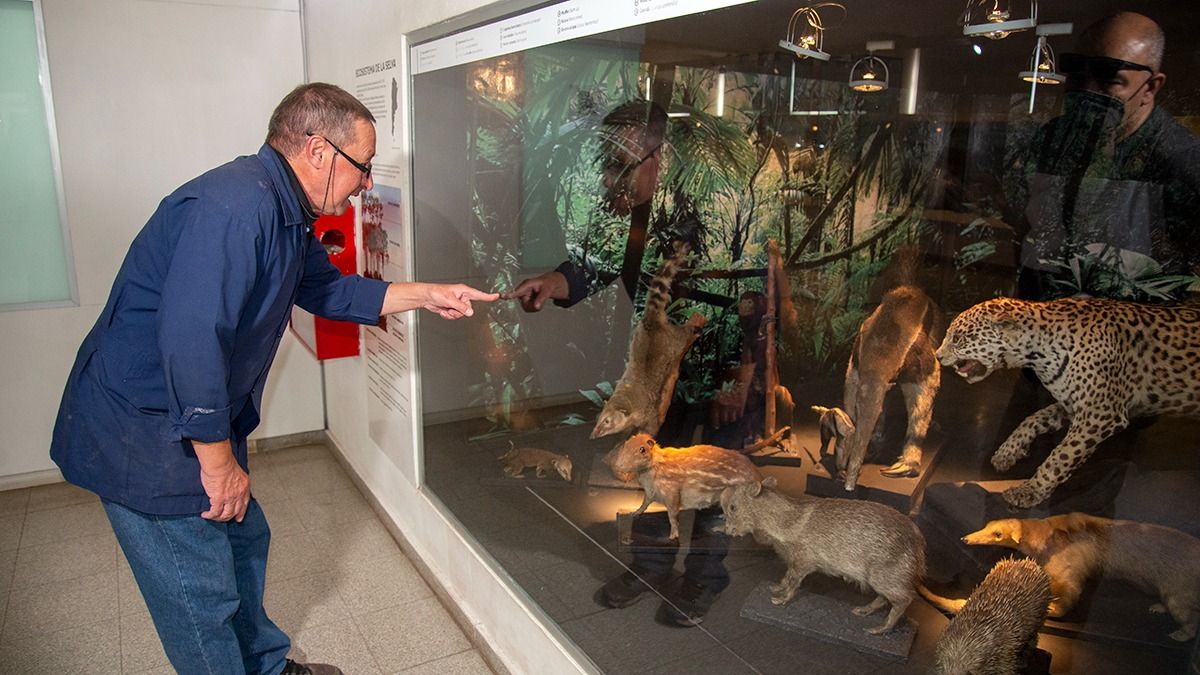 Aranguez en uno de los sectores del Museo destinados a los mamíferos taxidermizados.