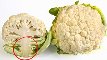 Si tenés coliflor en casa, tenés un tesoro en tus manos: cómo reutilizar su tronco Si tenés coliflor en casa, tenés un tesoro en tus manos: cómo reutilizar su tronco