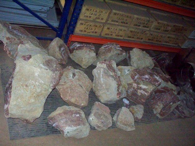 Hallaron restos fósiles en Malargüe