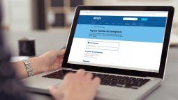 Anses estableció requisitos para cobrar el IFE.