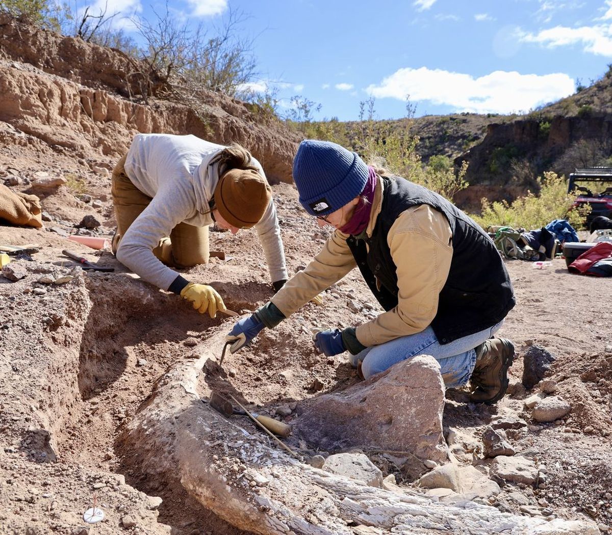 El descubrimiento sorprendió a los especialistas. El descubrimiento sorprendió a los especialistas.