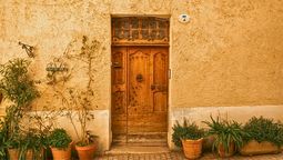 La planta que debes poner en la entrada de tu casa para que en octubre llegue abundancia y buena suerte