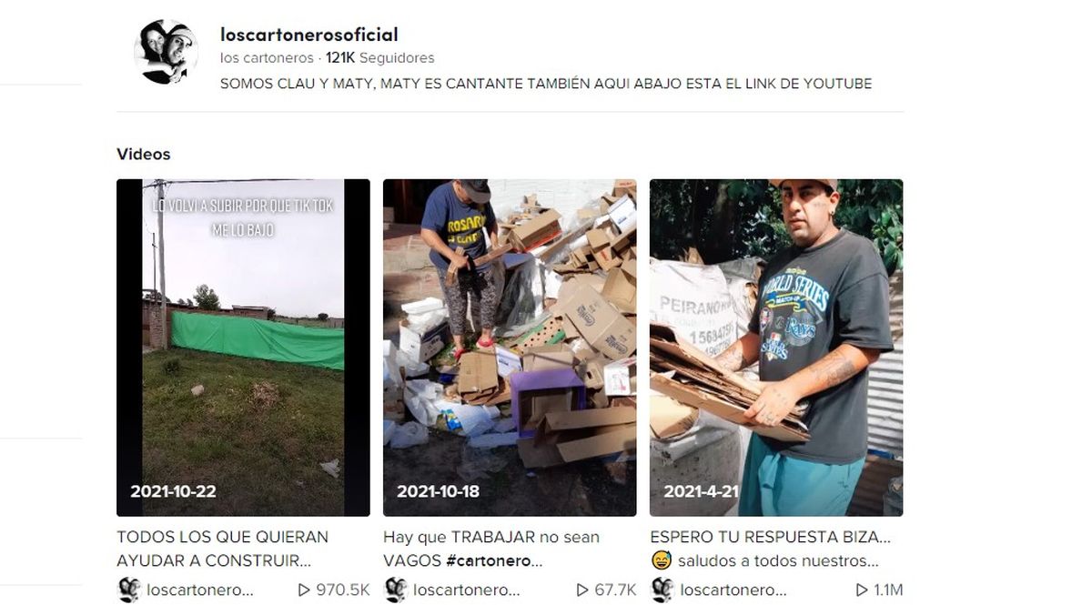 Vista de la cuenta oficial de Claudia y Matías en TikTok: Los cartoneros.
