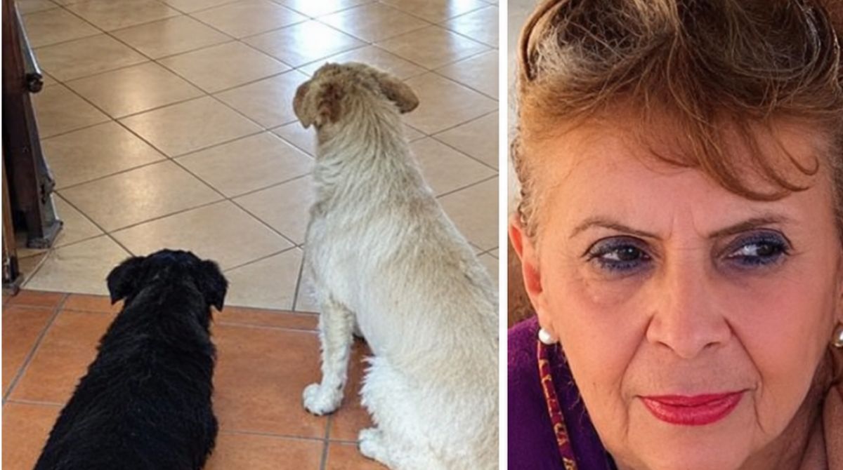 Margarita y los perros que alimentaba estuvieron presentes en su funeral. Margarita y los perros que alimentaba estuvieron presentes en su funeral.