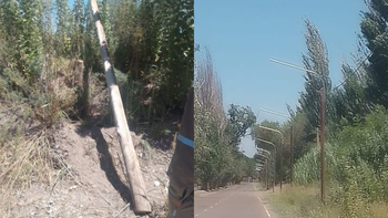 Delincuentes cortaron con una motosierra postes de luz para robarse lámparas led en San Martín