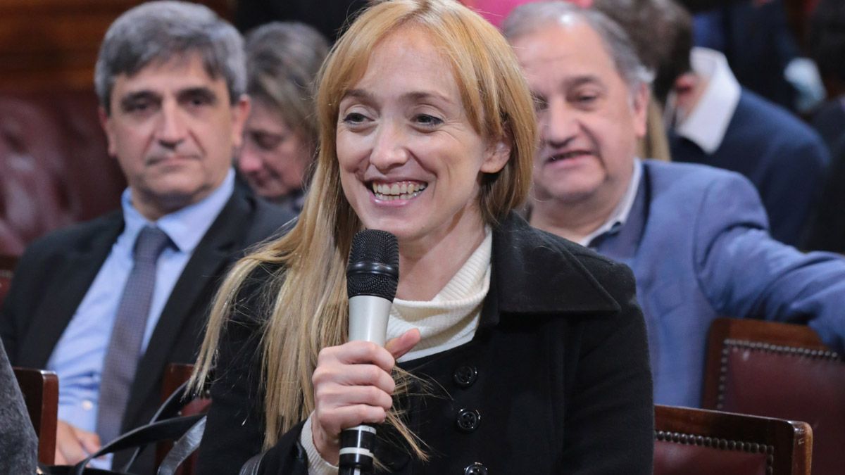 La senadora nacional por Mendoza del Frente de Todos, Anabel Fernández Sagasti es una de las autoras del proyecto de moratoria previsional.