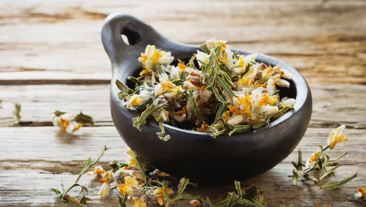 La planta que ayuda a bajar de peso y elimina los parásitos