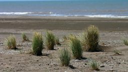 Para disfrutar en otoño: cuál es la joya de la Costa Atlántica cerca de Bahía Blanca