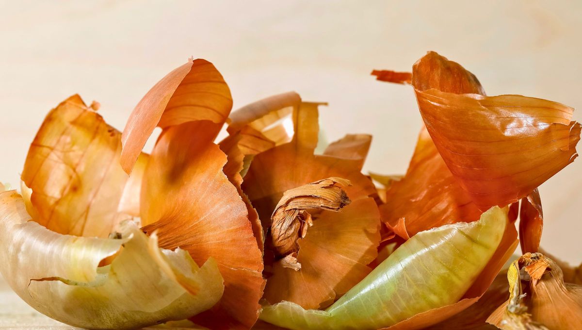 Las cáscaras de cebolla son un residuo con muchos usos y beneficios. Fuente: Canva Las cáscaras de cebolla son un residuo con muchos usos y beneficios. Fuente: Canva