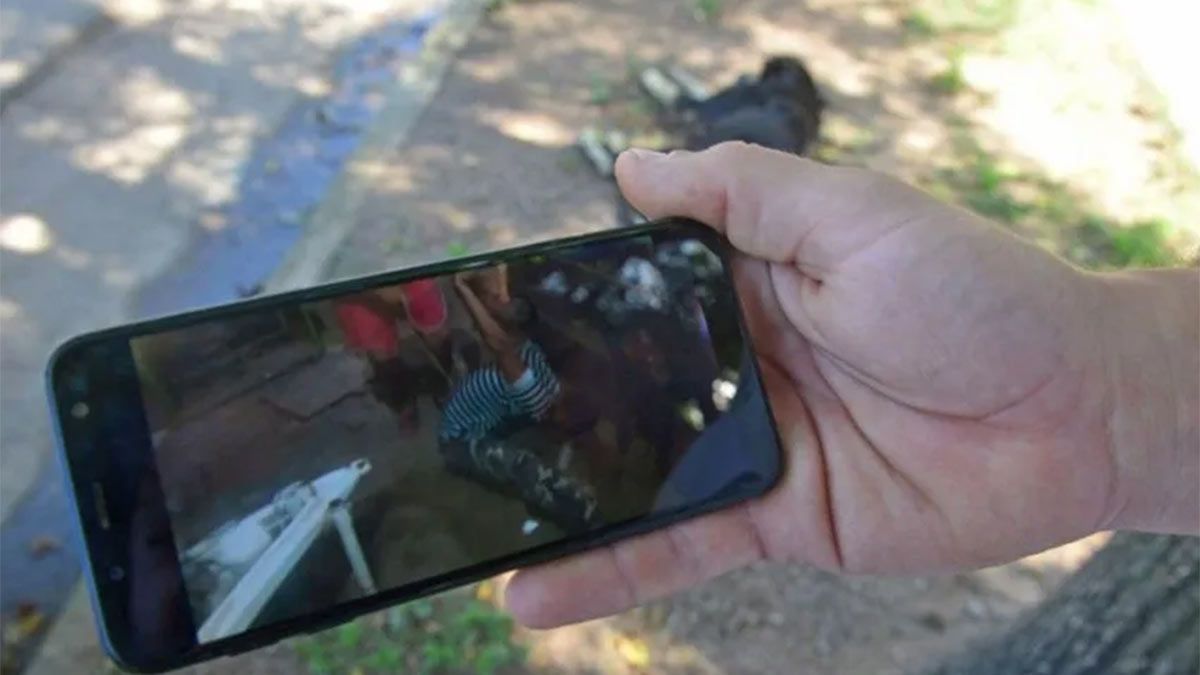 El video fue viralizado en C&oacute;rdoba.&nbsp;