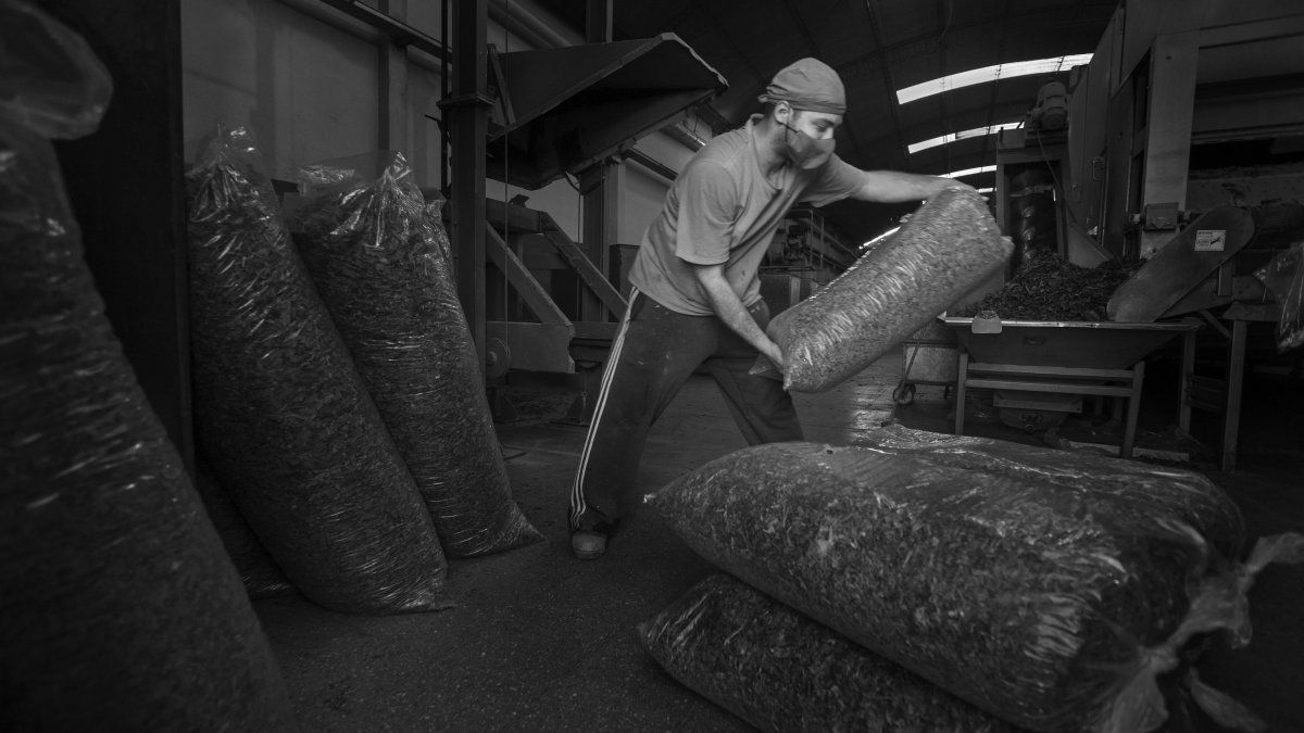 La Terre: la historia de una recuperación y una amenaza de remate