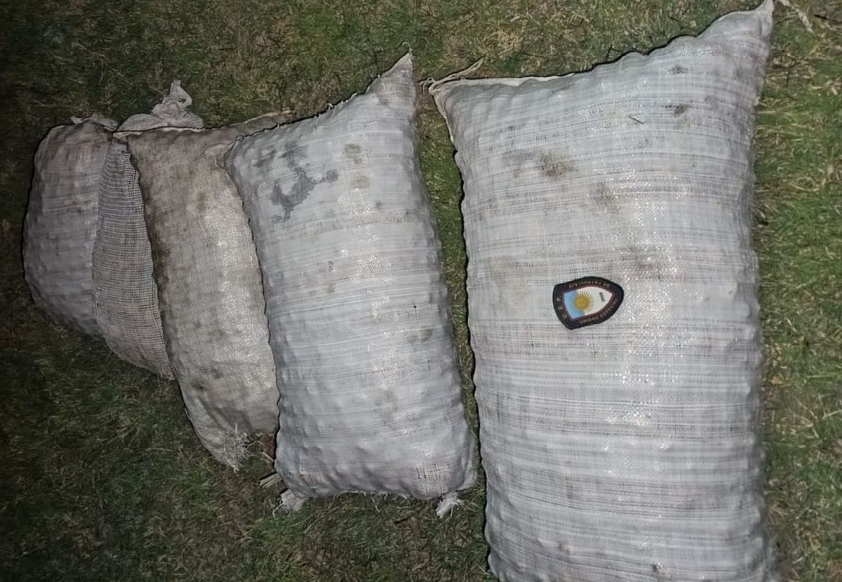Algunas de las bolsas con nueces recuperadas este viernes a la madrugada en Tupungato.