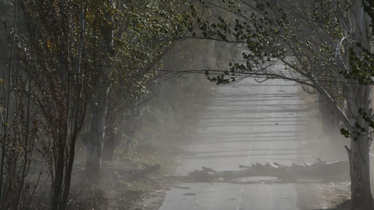 La DGE suspendió clases presenciales turno tarde por viento Zonda en Gran Mendoza, Valle de Uco y sur provincial. En el Este hay clases normales. La DGE suspendió clases presenciales turno tarde por viento Zonda en Gran Mendoza, Valle de Uco y sur provincial. En el Este hay clases normales.