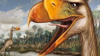 Descubren una nueva especie de 