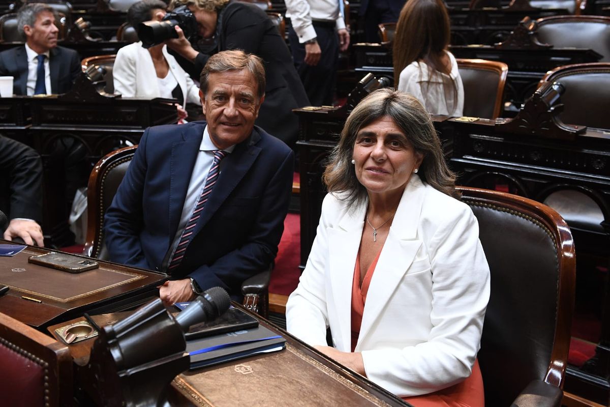 Los senadores nacionales por Mendoza de la UCR, no votaron el aumento de los senadores, mientras que Anabel Fernández Sagasti sí lo avaló.&nbsp;