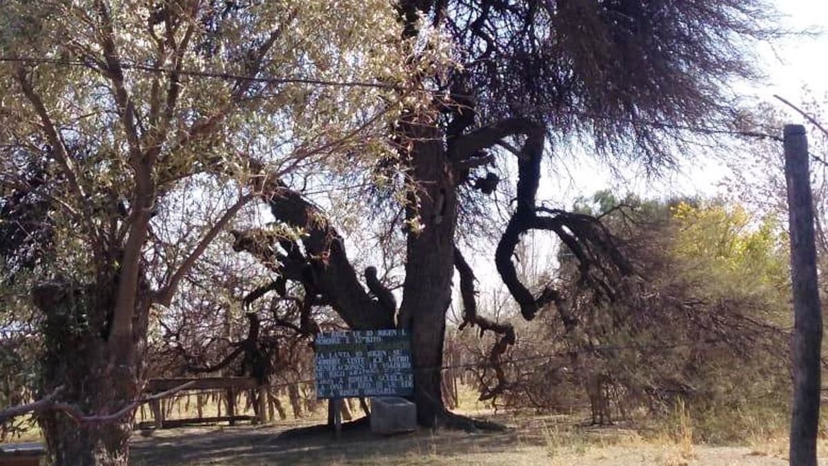 Algarrobo Grande, un nuevo atractivo turístico para la zona Este de Mendoza