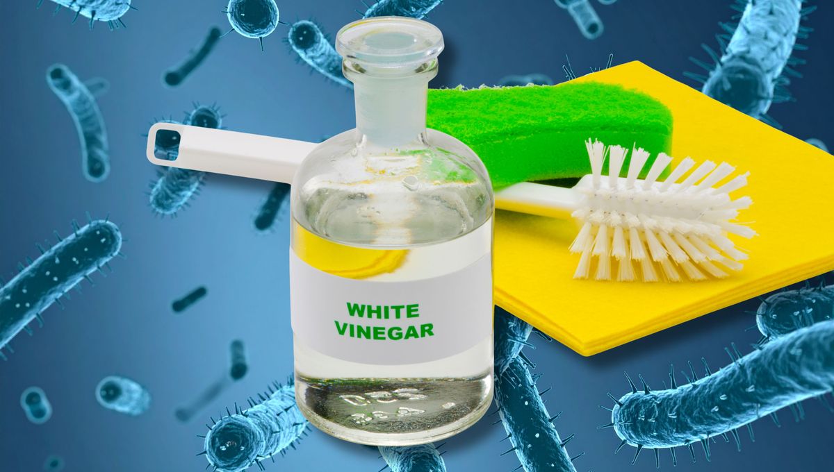 Utiliza vinagre diluido con agua para limpiar cualquier superficie. Utiliza vinagre diluido con agua para limpiar cualquier superficie. 