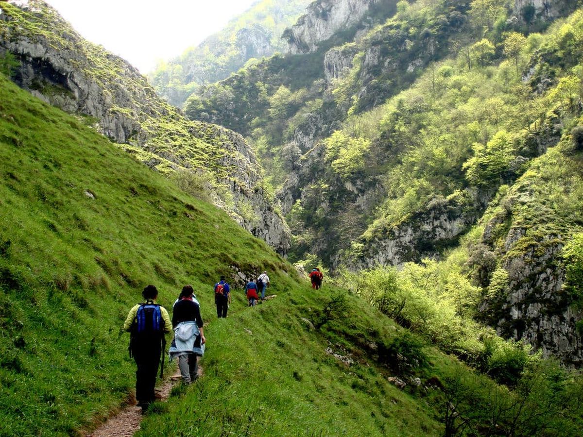 Senda del oso. Senda del oso. 