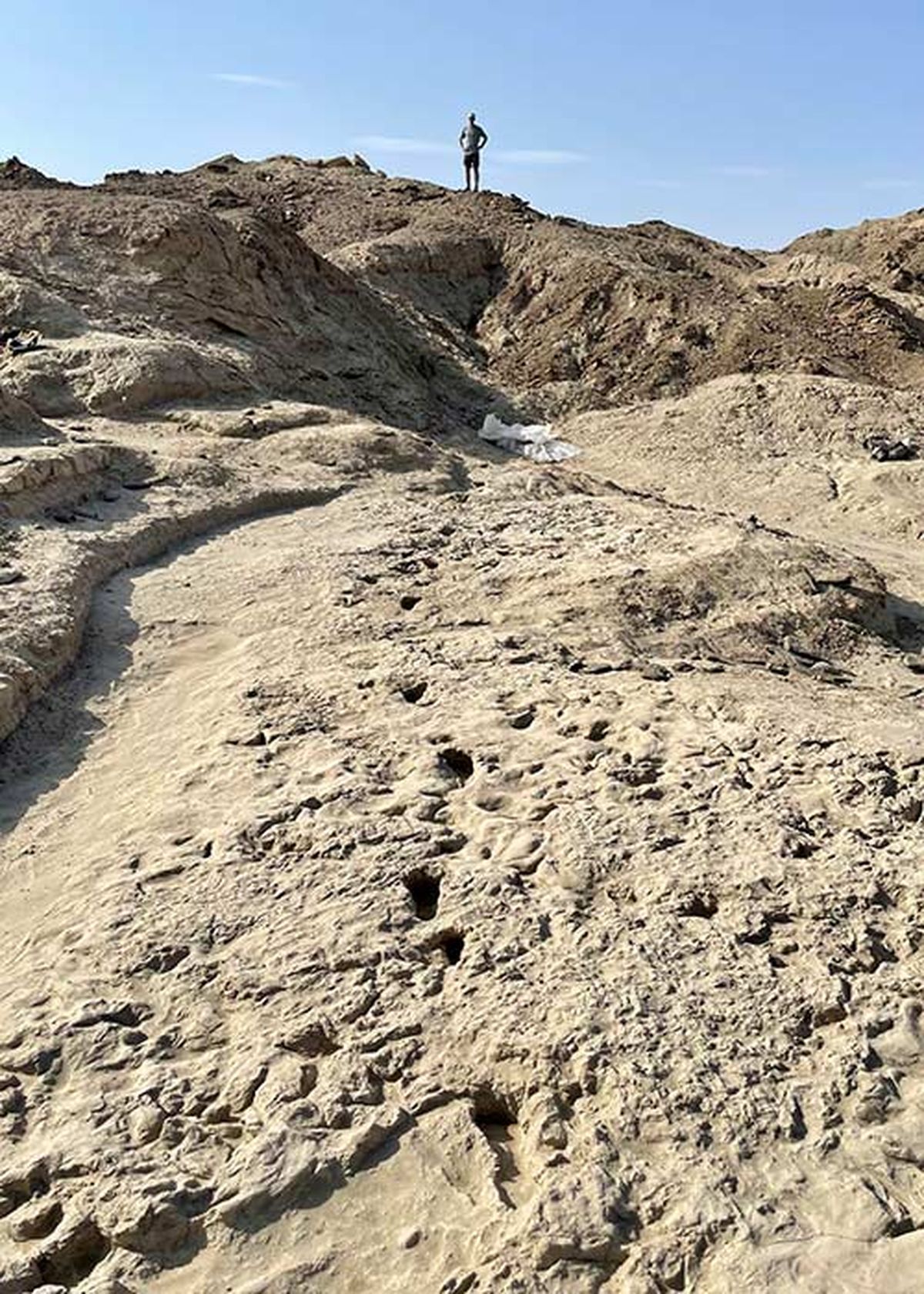 El descubrimiento llamó la atención de arqueólogos y antropólogos. El descubrimiento llamó la atención de arqueólogos y antropólogos.