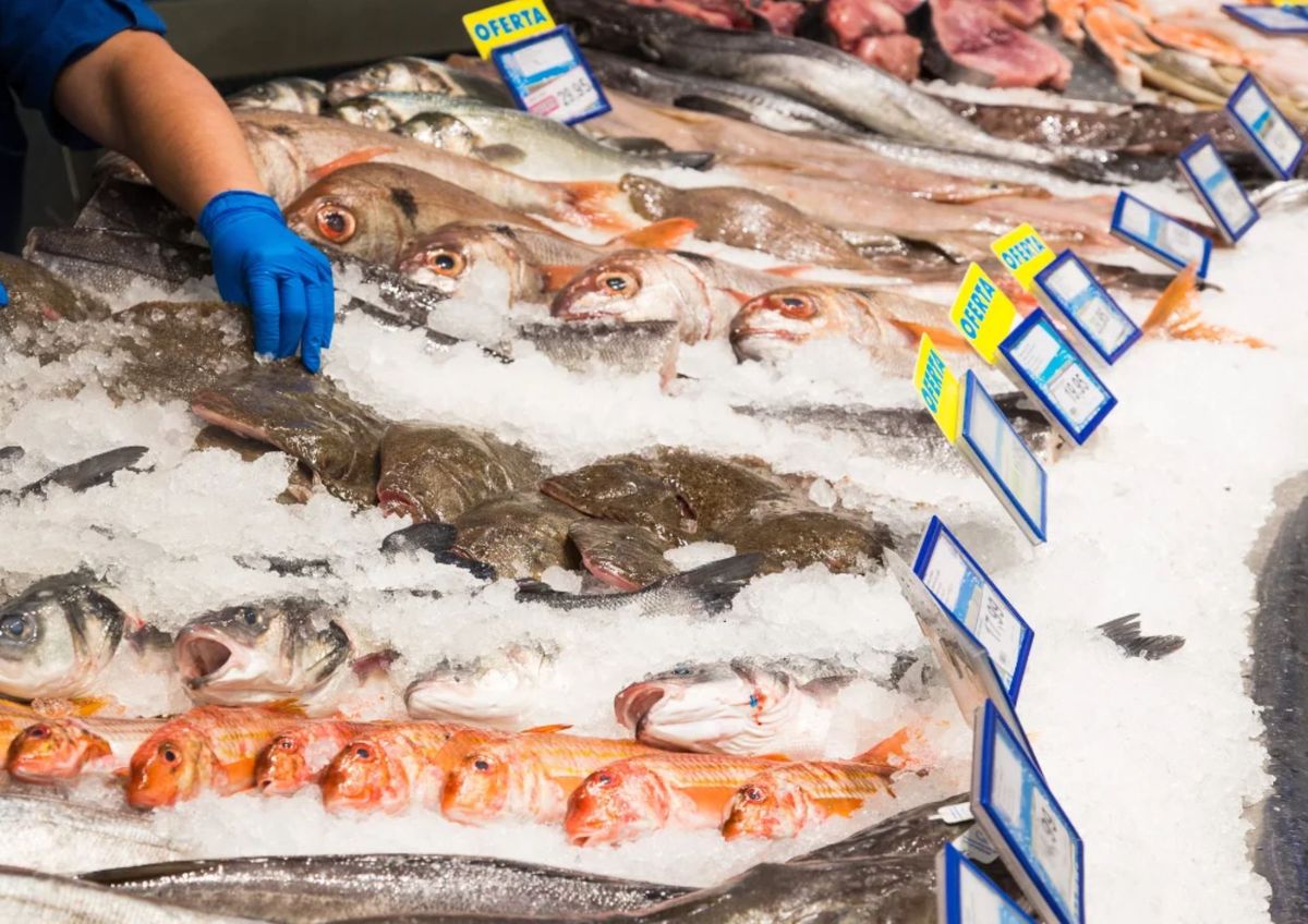 La intoxicación con pescado puede llegar a ser muy grave. La intoxicación con pescado puede llegar a ser muy grave.