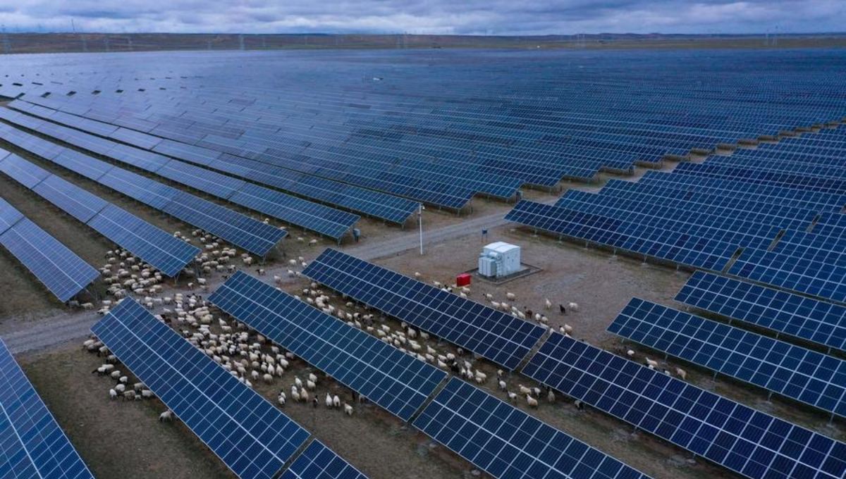 China genera un nuevo microclima en el desierto con el parque solar más grande del mundo