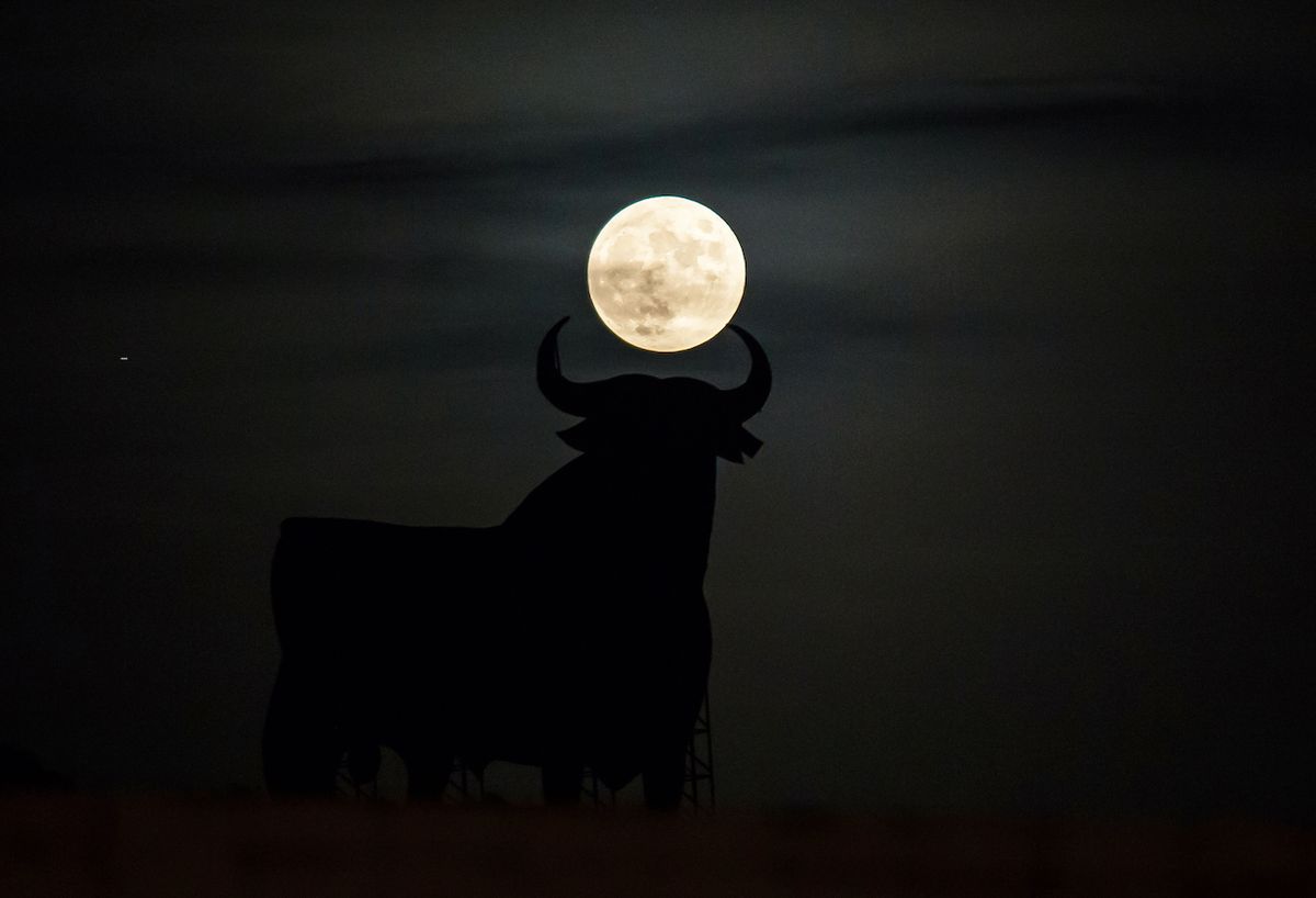 Luna del Cazador, el sorprendente fenómeno astronómico que podrá observarse en los próximos días Luna del Cazador, el sorprendente fenómeno astronómico que podrá observarse en los próximos días