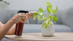 Fertilizante casero hecho con restros de fruta