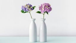 Cómo conservar más tiempo flores en un florero usando azúcar