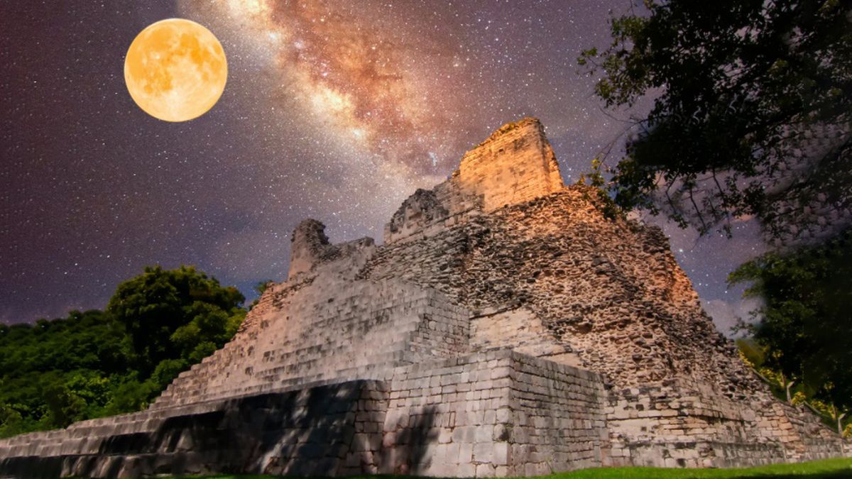 Horóscopo maya: los 5 animales bendecidos por la Luna Llena de noviembre