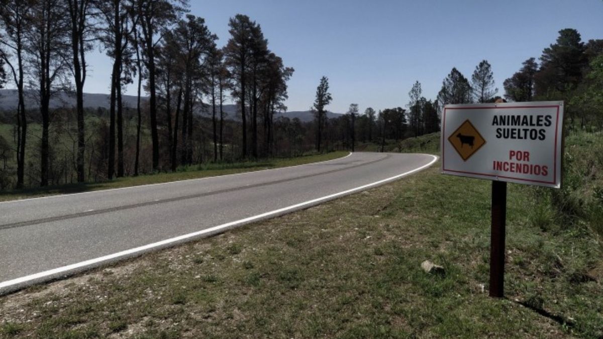 Cada año se queman miles de hectáreas en las sierras. (Foto: Lourdes Karen Antonella Sauch) Cada año se queman miles de hectáreas en las sierras. (Foto: Lourdes Karen Antonella Sauch)