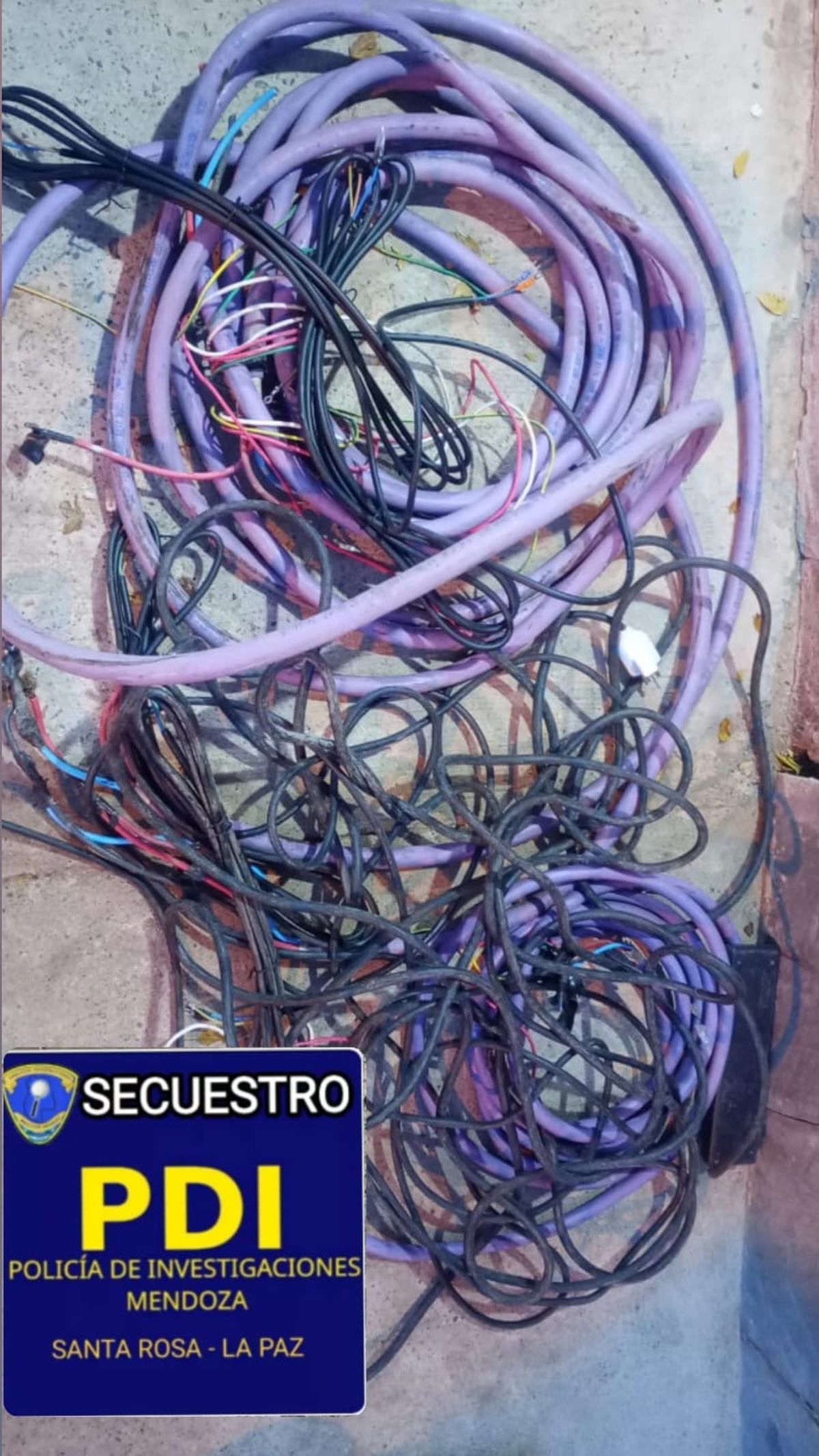 Se hallaron varios kilos de cable de cobre, proto y otros elementos eléctricos. Se hallaron varios kilos de cable de cobre, proto y otros elementos eléctricos.