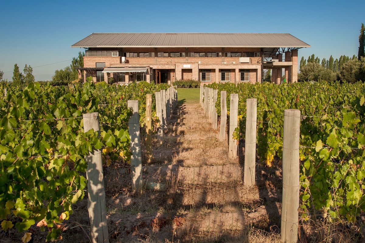 El viñedo Bella Vista, el más antiguo de Achaval Ferrer, se ubica en Perdriel (Luján de Cuyo). Tiene vides de Malbec y Syrah que fueron plantadas en 1910.