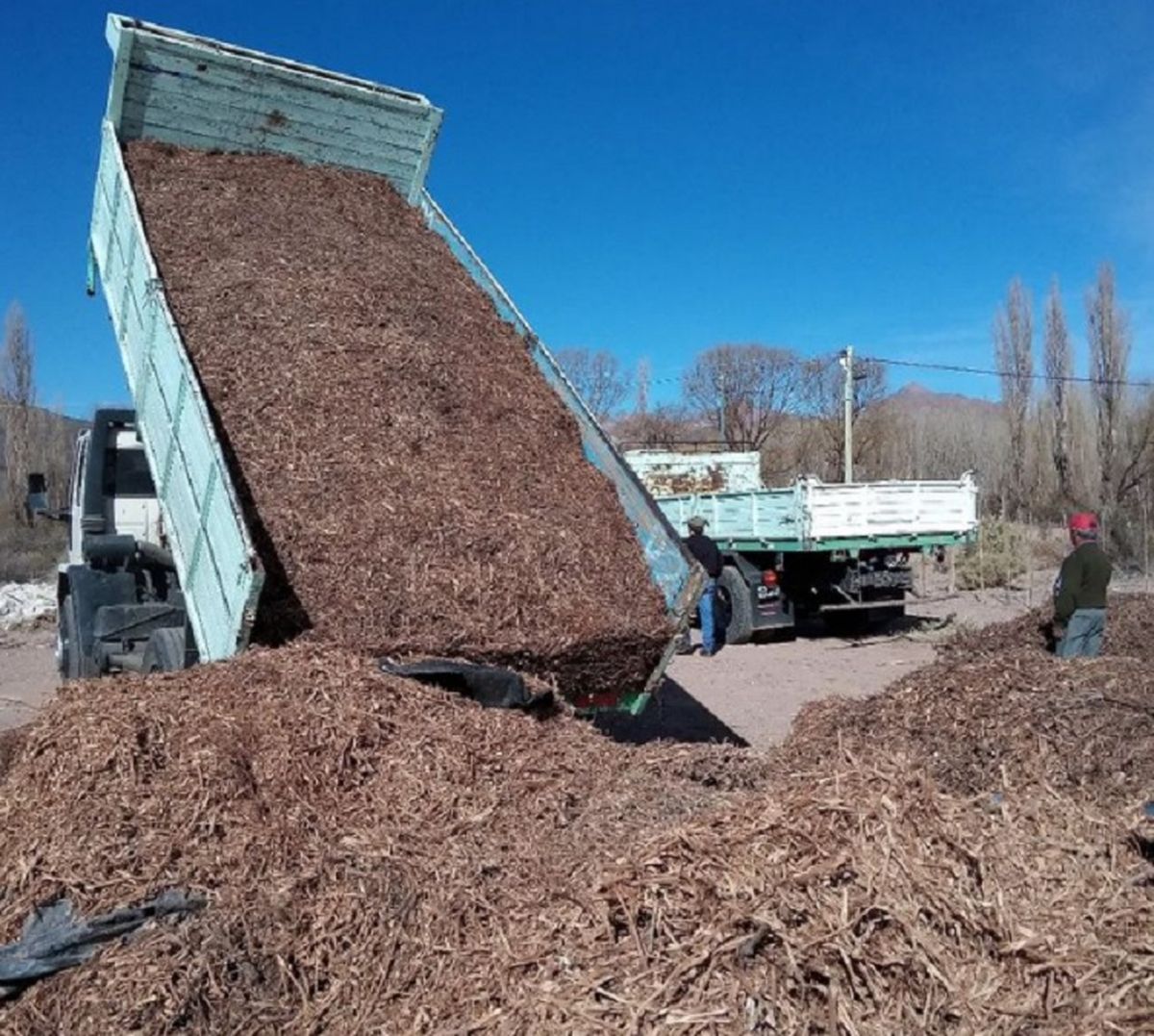 Con el premio que recibió en Canal 7 pudo equiparse con contenedores, acoplados e instalar electricidad y agua en el terrero en Villa Clarita, Uspallata. Con el premio que recibió en Canal 7 pudo equiparse con contenedores, acoplados e instalar electricidad y agua en el terrero en Villa Clarita, Uspallata.