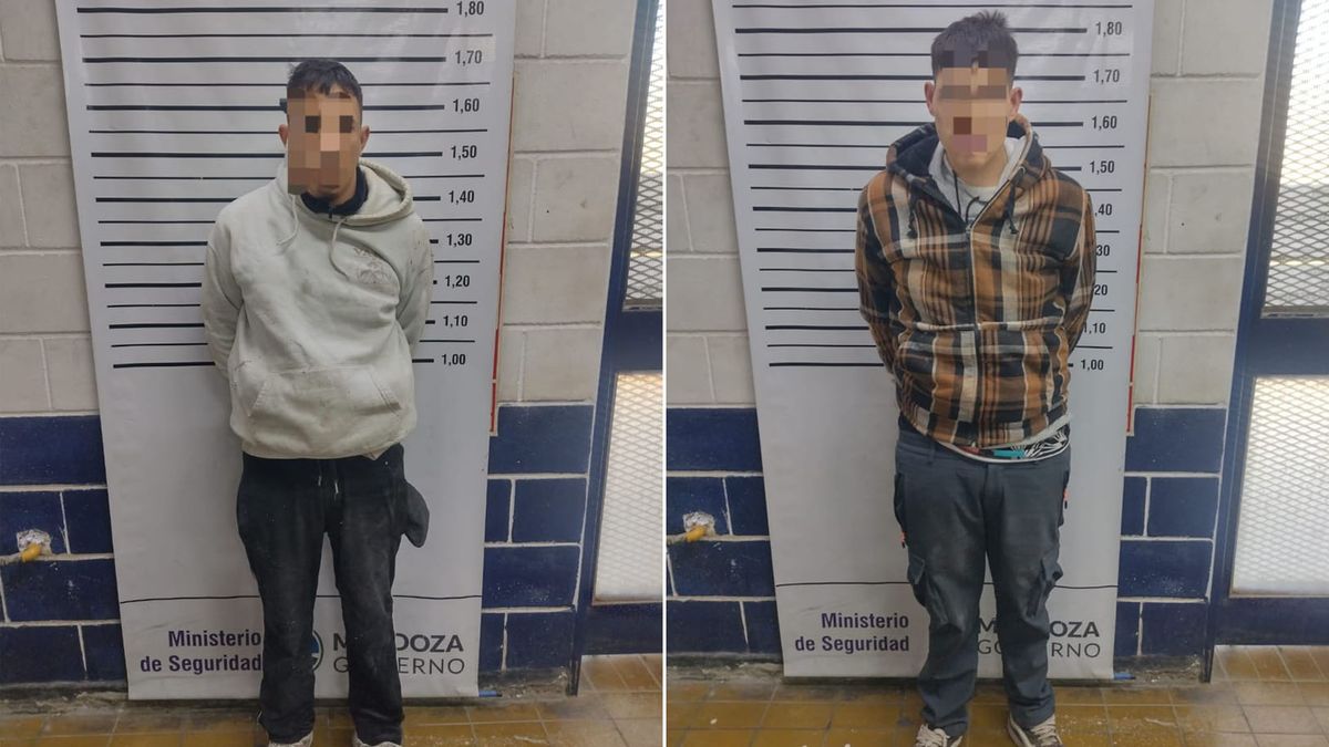 Los dos hermanos detenidos tras una persecución policial en Guaymallén