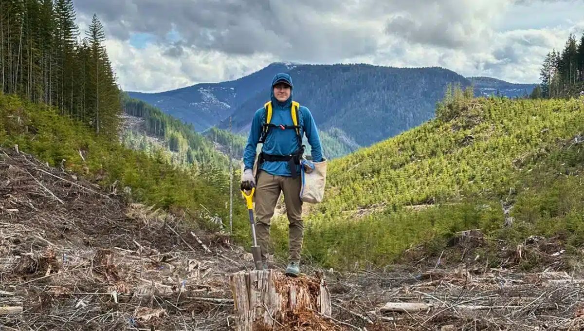Plantó más de 23.000 árboles en menos de un día: rompió el récord del mundo asombrando e inspirando