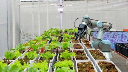 El Ministerio de Economía de Mendoza abrió la convocatoria al Fondo de Expansión, un programa destinado proyetos Tecnológicos de Alto Impacto.
