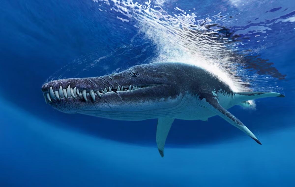 Este animal habitó Colombia hace millones de años. Este animal habitó Colombia hace millones de años.