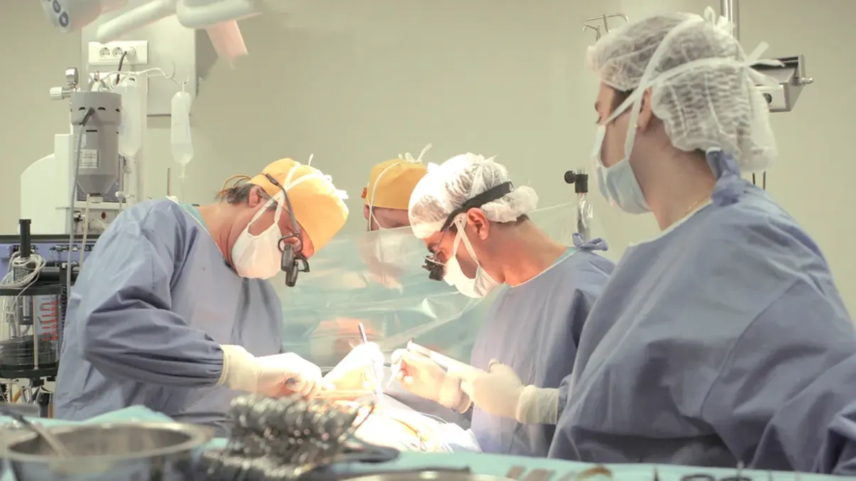 Salud: cardiólogos amenazaron con no colocar stents ni realizar angioplastías a modo de protesta.