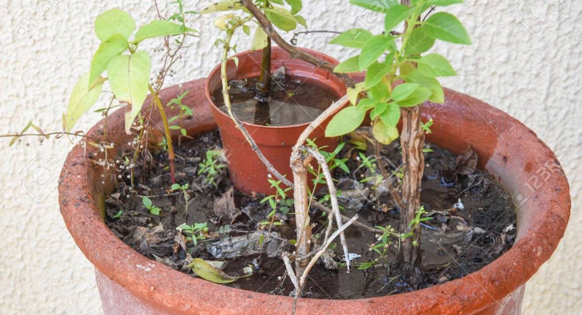 Solo tres de cada diez personas tiene buena información sobre el dengue según una encuenta hecha a personas mayores de 18 años Solo tres de cada diez personas tiene buena información sobre el dengue según una encuenta hecha a personas mayores de 18 años