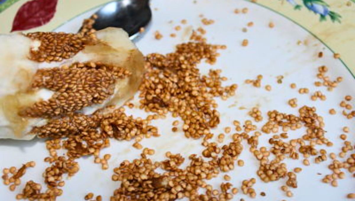 Estas semillas son un tesoro para la salud y el mundo culinario. Estas semillas son un tesoro para la salud y el mundo culinario.