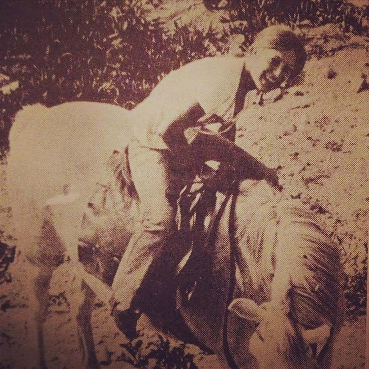 Archivo. Una de las imágenes menos difundidas de Dagmar Hagelin, cuando era casi adolescente. Archivo. Una de las imágenes menos difundidas de Dagmar Hagelin, cuando era casi adolescente.