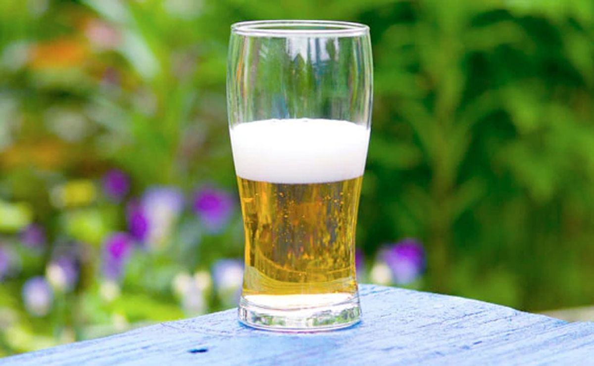 Cómo utilizar cerveza para fortalecer las raíces débiles de tus plantas Cómo utilizar cerveza para fortalecer las raíces débiles de tus plantas