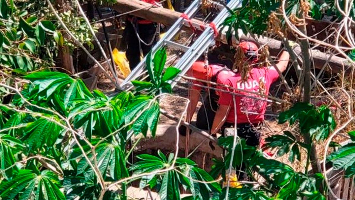 Los hombres les habrían dispararo y hasta, posiblemente, hicieron que consuman veneno. (Gentileza El Doce TV).