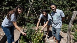 Tres emprendedores mendocinos venden semillas agroecológicas, germinadores y brindan talleres en escuelas.