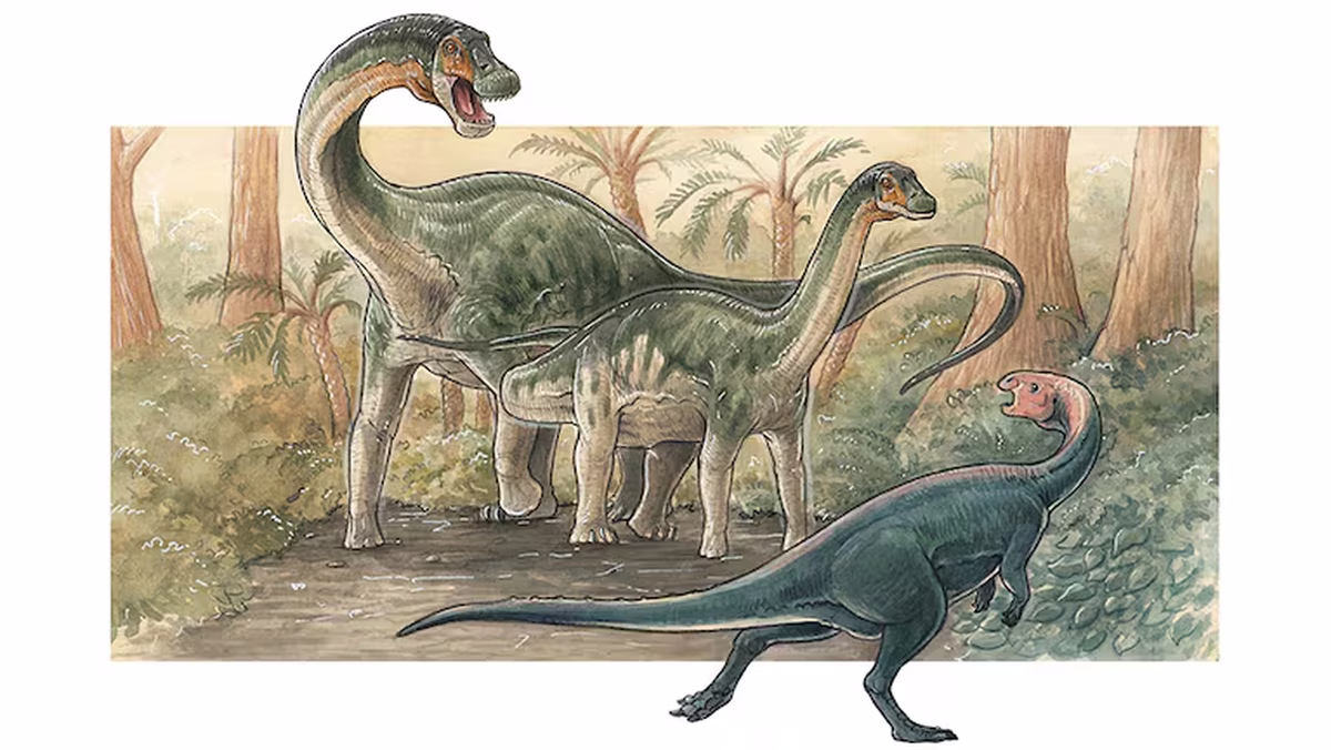 Este dinosaurio perteneció al grupo de los titanosaurios. Este dinosaurio perteneció al grupo de los titanosaurios. 