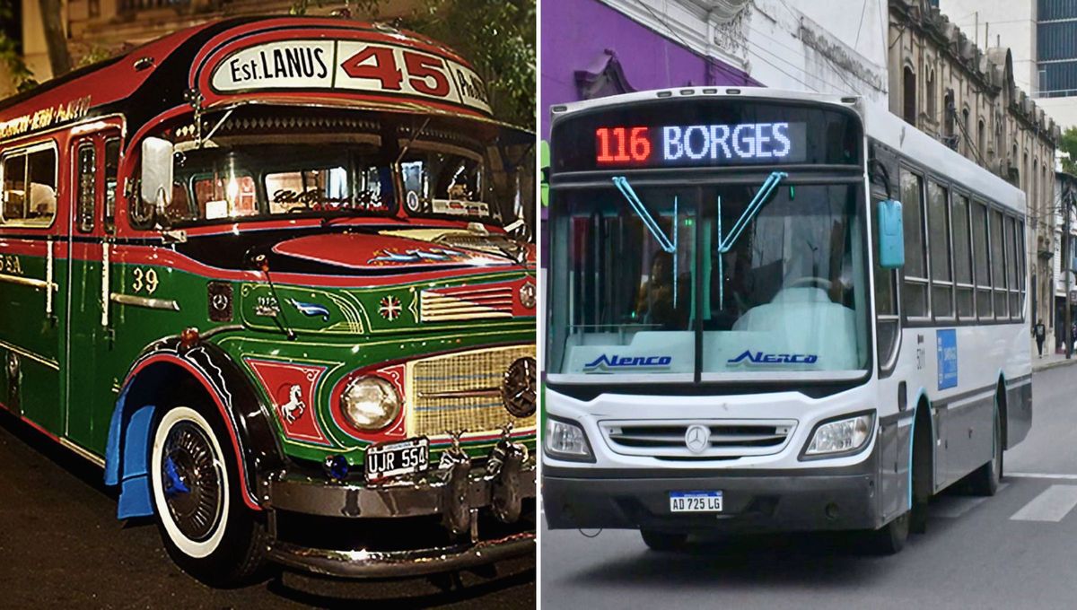 El colectivo argentino fue el primer transporte urbano de su tipo en el mundo, antecediendo a los autobuses modernos y sirviendo de modelo para otros pa&iacute;ses de Am&eacute;rica Latina.