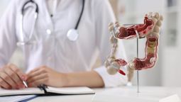 La semilla llena de fibra que regula el tránsito intestinal y mejora la salud visual