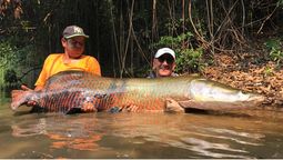 Fuente, total Fishing Fuente, total Fishing