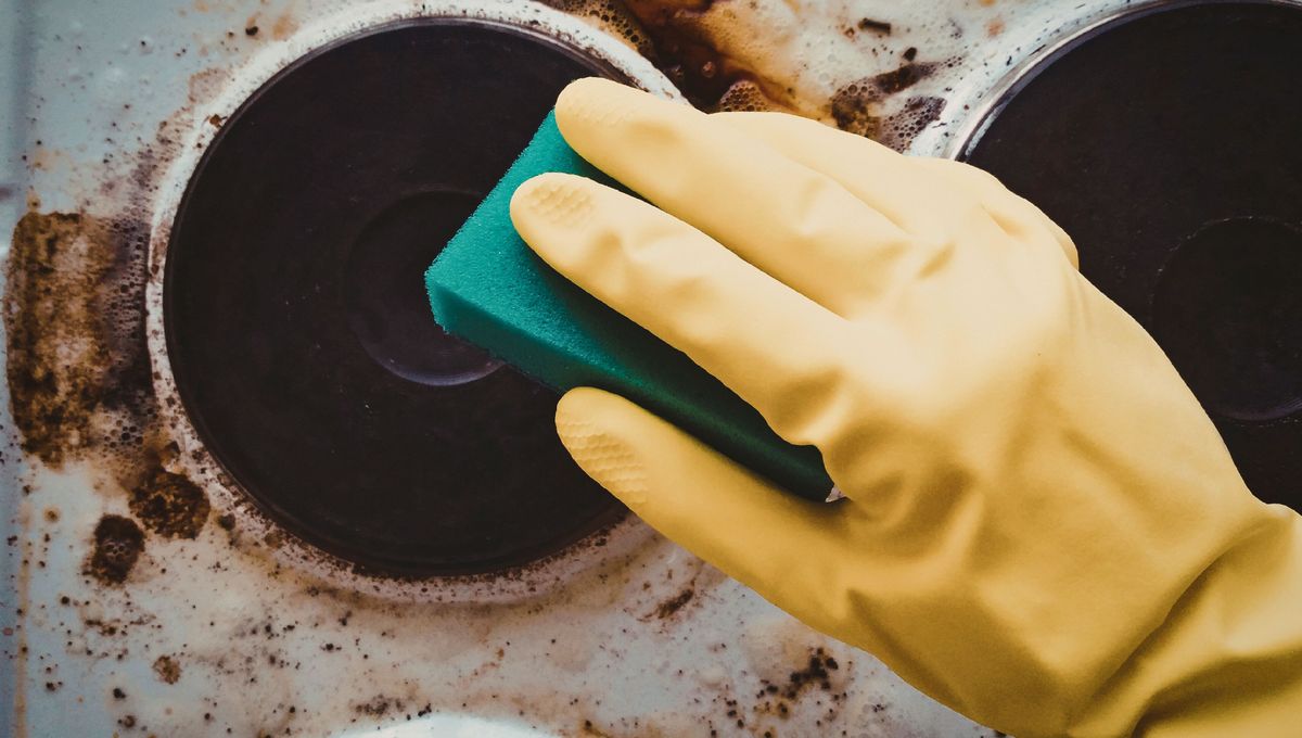 El vinagre ablanda y remueve la grasa pegada en las hornallas de la cocina. El vinagre ablanda y remueve la grasa pegada en las hornallas de la cocina. 