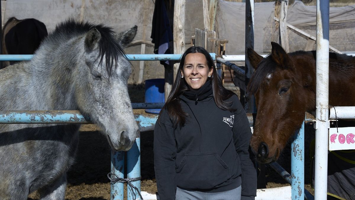 Athena y Nirvana, otros dos caballos rescatados de maltrato, pero recuperados gracias al trabajo con amor. Athena y Nirvana, otros dos caballos rescatados de maltrato, pero recuperados gracias al trabajo con amor.